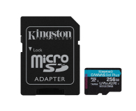 Kingston 256GB Canvas Go! Plus 170MB/90MB (odczyt/zapis) - 550120 - zdjęcie 1